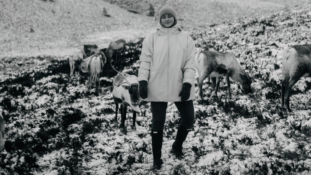 Frau umgeben von Rentieren im Winter in der Natur in Cairngorms National Park